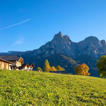 Treffhof Villa Siusi Bagian luar foto